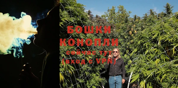 PSILOCYBIN Ельня