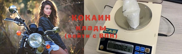 PSILOCYBIN Ельня