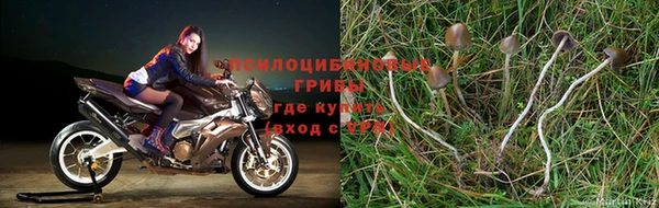 герыч Заводоуковск