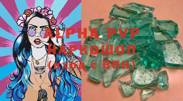 PSILOCYBIN Ельня