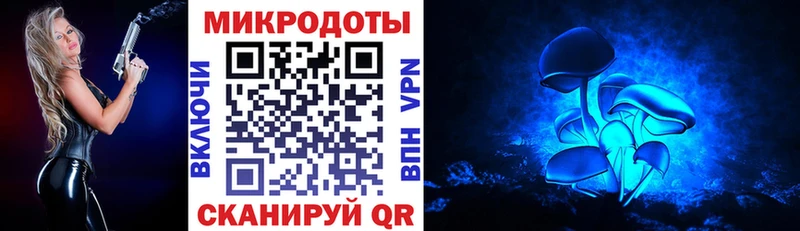 Купить где  Зуевка  Галлюциногенные грибы Psilocybe 
